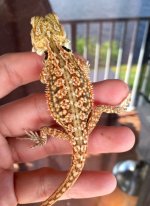 FullSizeRender (8).jpg