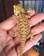 FullSizeRender (9).jpg