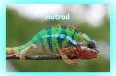 Pantherhotrod.jpg.jpg