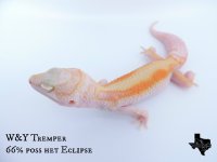 WYstripe.jpg