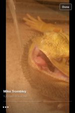 ImageUploadedByTapatalk1413268469.067638.jpg ImageUploadedByTapatalk1413268469.067638.jpg