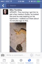 ImageUploadedByTapatalk1413268502.541611.jpg ImageUploadedByTapatalk1413268502.541611.jpg