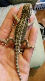 Baby 3.jpg