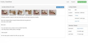 Sulcata Tortoise For Sale in Montclair, California - Hoobly Classifieds.jpg
