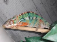 DSCF7083.jpg