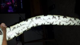 20140905_175539.jpg