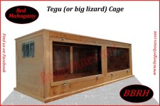 tegu.jpg