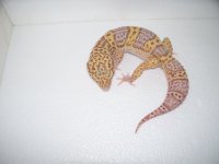 pics 005.jpg