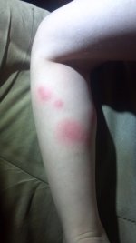 2014-08-06_23-02-10_867.jpg