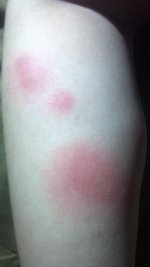 2014-08-06_23-02-02_29.jpg