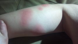 2014-08-06_23-01-47_724.jpg