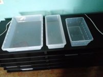 baby tubs.jpg
