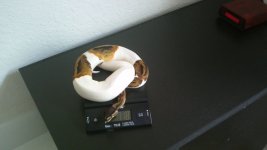 WIN_20140807_094402.jpg