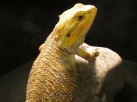IMG_0051.JPG
