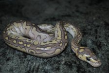 DSC_5759.jpg