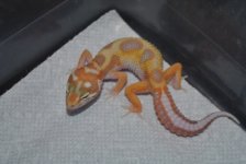 DSC_0032.jpg