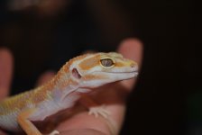 DSC_0079.jpg