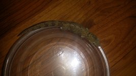 20140726_150527.jpg