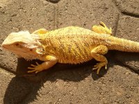IMG_1064.jpg