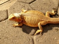 IMG_1090.jpg