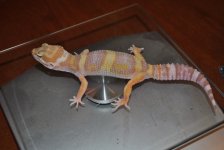DSC_0001.jpg