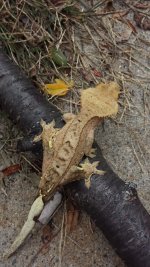 20141005_131942.jpg