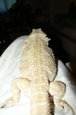 DSC03771.jpg