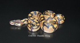 C6EM1 Thanks Doug.jpg