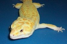 100_1528.jpg