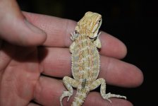 DSC_0410.jpg
