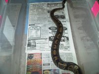 IMG00010-20100527-0009.jpg