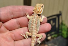 DSC_0413.jpg