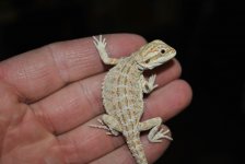 DSC_0414.jpg
