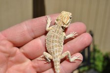 DSC_0415.jpg