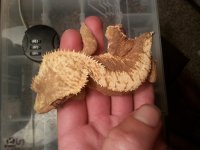 20131217_174244.jpg