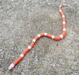 Untitled.jpg
