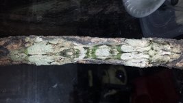 20140624_192501.jpg
