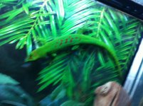 IMG_2558.jpg