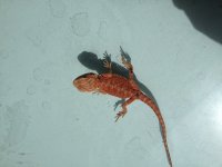 IMG_3179.jpg