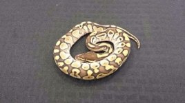 Lesser male #1 $75.jpg