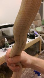 IMAG0118.jpg