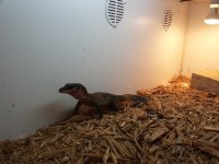 20141022_212659.jpg