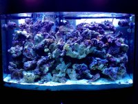 100 Gallon  5.16.14' 1-2.jpg