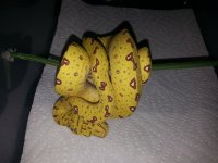 20141005_100729.jpg