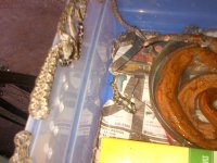 momoflitter#1.jpg