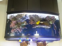 20140607_080552.jpg