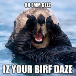 birfdaze.png