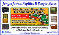 Banner for the daytona breeders expo.jpg