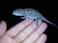 20140929_170634.jpg