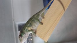 20141007_174201.jpg